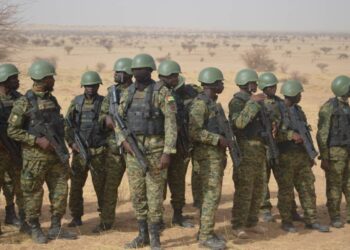 5 دول إفريقية تجري مناورات عسكرية لمحاربة الإرهاب في النيجر