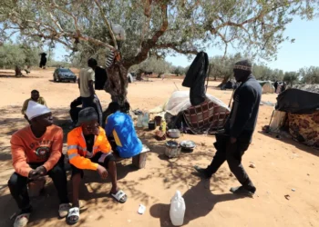 تونس تعلن عودة طواعية لـ 170 مهاجرًا من بنين إلى بلادهم