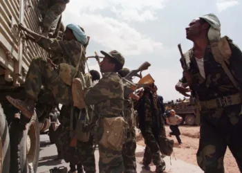 أدلة قوية على ارتكاب إثيوبيا إبادة جماعية في حرب تيغراي بين عامي 2020 و2022