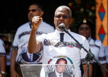 إنكاثا والتحالف الديموقراطي ينضمان إلى المؤتمر الوطني في حكومة الوحدة بجنوب إفريقيا