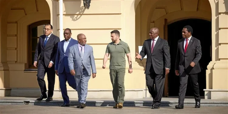 الحملة الدبلوماسية الأوكرانية المضادة في إفريقيا ومحاولة تعويض الوقت الضائع