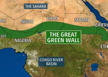 إفريقيا جنوب الجدار الأخضر العظيم: من يمكنه جذب هذه الأرض القاحلة نحو ازدهار نسبي؟
