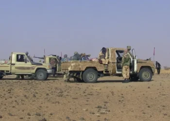 الجيش المالي يعلن عن تكبيد الإرهابيين خسائر جسيمة في أقصى شمال البلاد