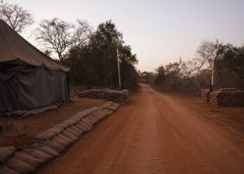 اعتقال 95 ليبيًا في معسكر تدريب عسكري “سري” في جنوب إفريقيا