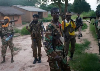 تقرير يرصد تفاقم ظاهرة الاختطاف في “مثلث الموت” بوسط إفريقيا