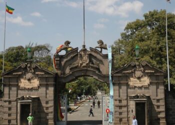 تصنيف شنغهاي 2024 والتفاؤل بشأن قدرات إفريقيا على تشكيل جيل جديد من المؤسسات التعليمية