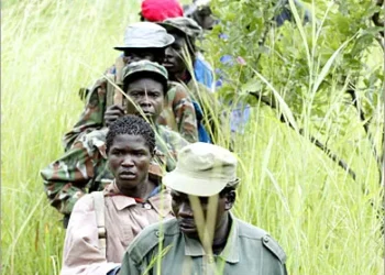 قوات من أوغندا وجنوب السودان تساند إفريقيا الوسطى في تدمير مقار لجيش الرب