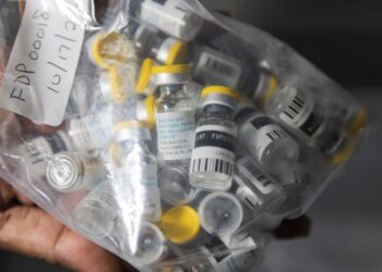 لجنة طوارئ حول انتشار سلالة من جدري القردة في إفريقيا جنوب الصحراء