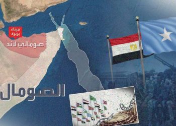 اتفاقية التعاون العسكري بين مصر والصومال: علاقات تاريخية وتحديات مشتركة