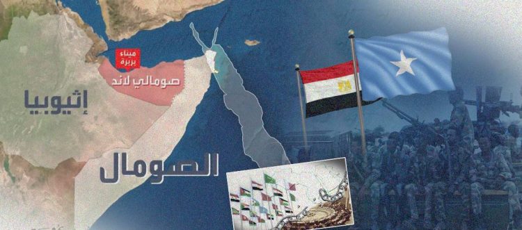 اتفاقية التعاون العسكري بين مصر والصومال: علاقات تاريخية وتحديات مشتركة