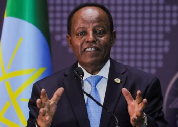 إثيوبيا تبدي قلقها من وصول إمدادات أسلحة مصرية إلى الصومال
