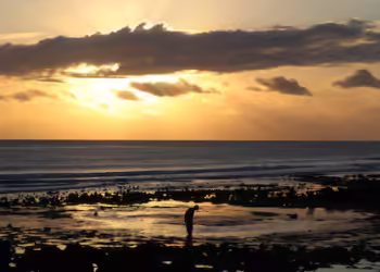 دول إفريقية تتطلع إلى أول عملية مبادلة مشتركة “للديون مقابل الطبيعة” في العالم