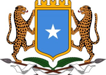 الصومال يطبق لوائح بحرية جديدة لتعزيز مراقبة الأنشطة على سواحله