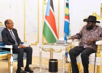 جيبوتي تعرض على جنوب السودان ميناءً بديلاً لصادرات النفط