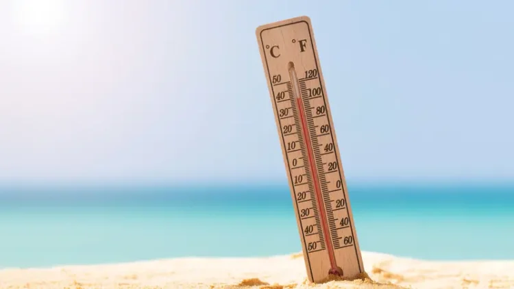 إفريقيا تخسر 5% من الناتج المحلي الإجمالي نتيجة موجات الحر