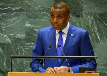 رئيس الوزراء الصومالي: الإجراءات الإثيوبية تشكل “تهديدا خطيرا” لبلادي