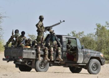 جيش النيجر يعلن مقتل 100 من عناصر التنظيمات المسلحة ويلاحق آخرين على حدود ليبيا