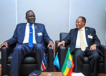 وزير الخارجية الاثيوبي يلتقي نظيره من جنوب السودان لاتخاذ موقف موحد بشأن مياه النيل