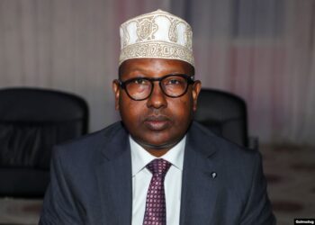 الصومال يهدد بدعم الجبهات الانفصالية في إثيوبيا إذا لم توقف تدخلاتها في شؤونه