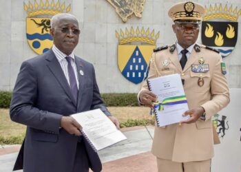 الجابون تحدد 16 من نوفمبر المقبل للاستفتاء على مشروع دستور جديد