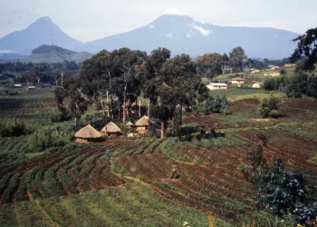تقرير: نصف مواطني إفريقيا يعيشون في بلدان تراجع فيها الحكم الرشيد