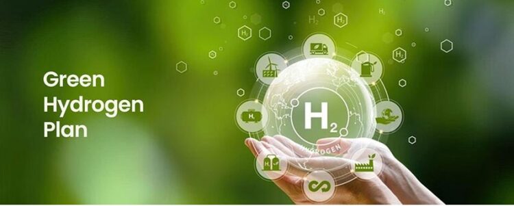 هل تصبح إفريقيا مستقبل (الوقود الأخضر)؟