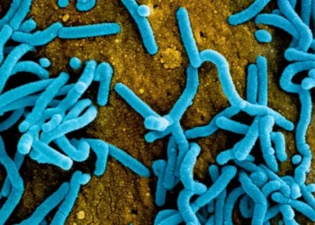 السلطات الرواندية تتخذ اجراءات للحد من انتشار فيروس ماربورغ