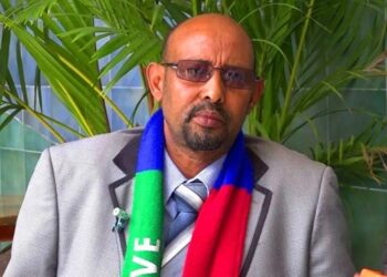 الجبهة الوطنية لتحرير أوغادين تعلن إعادة تقييم اتفاق السلام مع الحكومة الإثيوبية