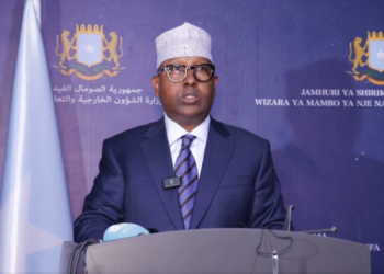 الصومال ينشر في حدود البلاد قوات لمكافحة تهريب الأسلحة غير المشروعة من إثيوبيا