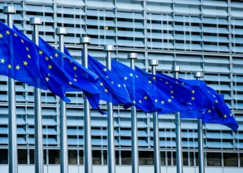 الأوروبي يخصص 20 مليون دولار لرواندا لمحاربة الجماعات المسلحة في موزمبيق