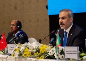 دول إفريقية تؤكد عزمها على تعزيز العلاقات والتعاون مع تركيا