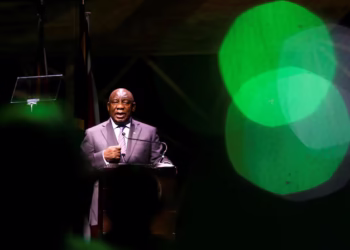 جنوب إفريقيا تتولى رئاسة مجموعة العشرين وتركز على النمو الشامل والأمن الغذائي