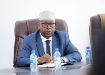 الحكومة الصومالية تتهم بعض السفراء الأجانب بانتهاك سيادة البلاد وتتعهد بمساءلتهم