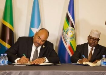 الصومال وتنزانيا يستأنفان الرحلات الجوية المباشرة لتعزيز التجارة والسياحة