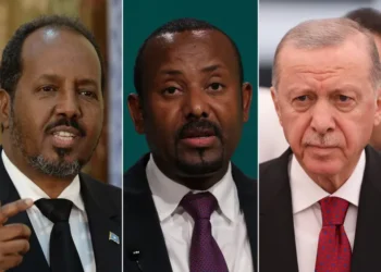 ستراتفور: إثيوبيا والصومال تفتحان الباب لتسوية النزاع بينهما