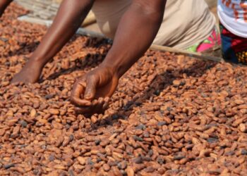 قمة طارئة حول أجندة التنمية الزراعية الشاملة لإفريقيا