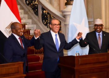 مصر تؤكد رفضها أي وجود عسكري لإثيوبيا في البحر الأحمر