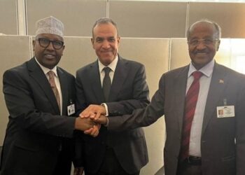 محادثات صومالية ومصرية وإريترية في القاهرة