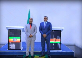 إثيوبيا وكينيا تطلقان عملية مشتركة ضد جماعة مسلحة على طول المناطق الحدودية