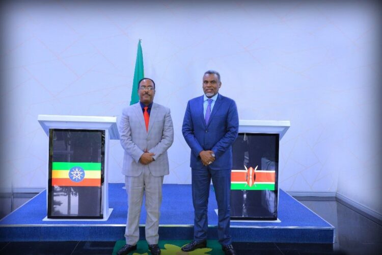 إثيوبيا وكينيا تطلقان عملية مشتركة ضد جماعة مسلحة على طول المناطق الحدودية