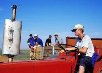 حزب جنوب إفريقي يتهم الأقلية البيضاء بالخيانة ومساندة ترامب