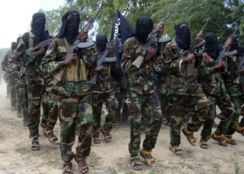 تقارير: مسلّحون يشتبه في انتمائهم لحركة الشباب يخطفون 5 مسؤولين بكينيا