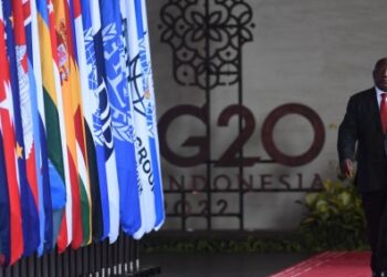  رئاسة جنوب إفريقيا لمجموعة العشرين بين الضغوط والتحديات