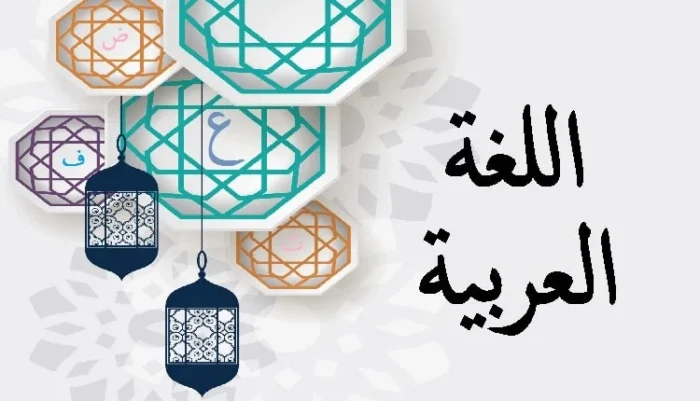 شهدت اللغة العربية تحولات داخل المنظومات الحكومية والأهلية في نيجيريا