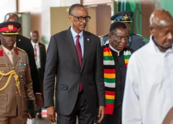 قادة أفارقة يدعون إلى “وقف فوري لإطلاق النار” في شرق الكونغو الديمقراطية