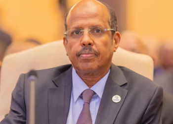 مرشح جيبوتي محمود علي يوسف يفوز برئاسة المفوضية الإفريفية