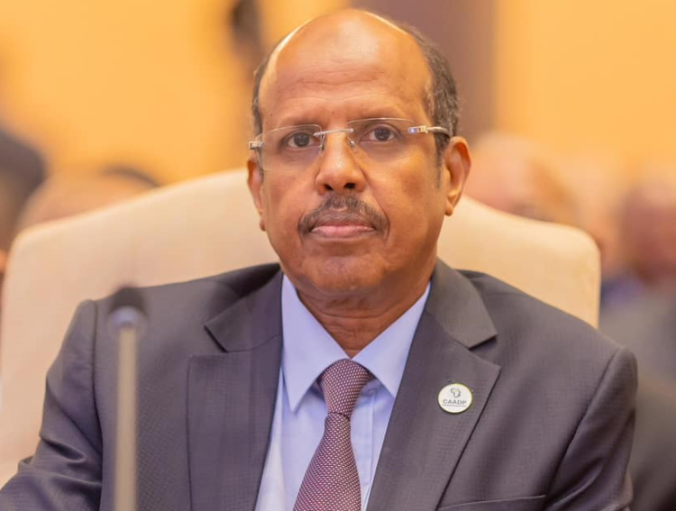 مرشح جيبوتي محمود علي يوسف يفوز برئاسة المفوضية الإفريفية