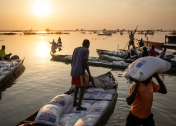 تخفيض المساعدات التنموية وإعادة التفكير في مستقبل القارة الإفريقية