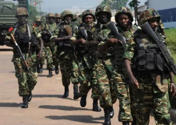 قوة مشتركة على حدود إفريقيا الوسطى وتشاد لضبط زعماء المتمردين