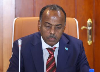 الحكومة الصومالية تكشف عن دور رئيسي لمصر في تدريب الجيش